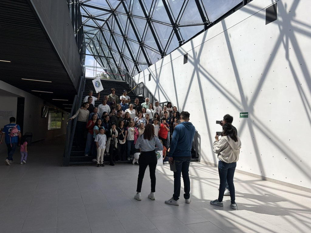 Visita Telmex